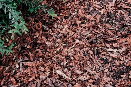 How Much Mulch You Need — and Why Depth Matters More Than Volume