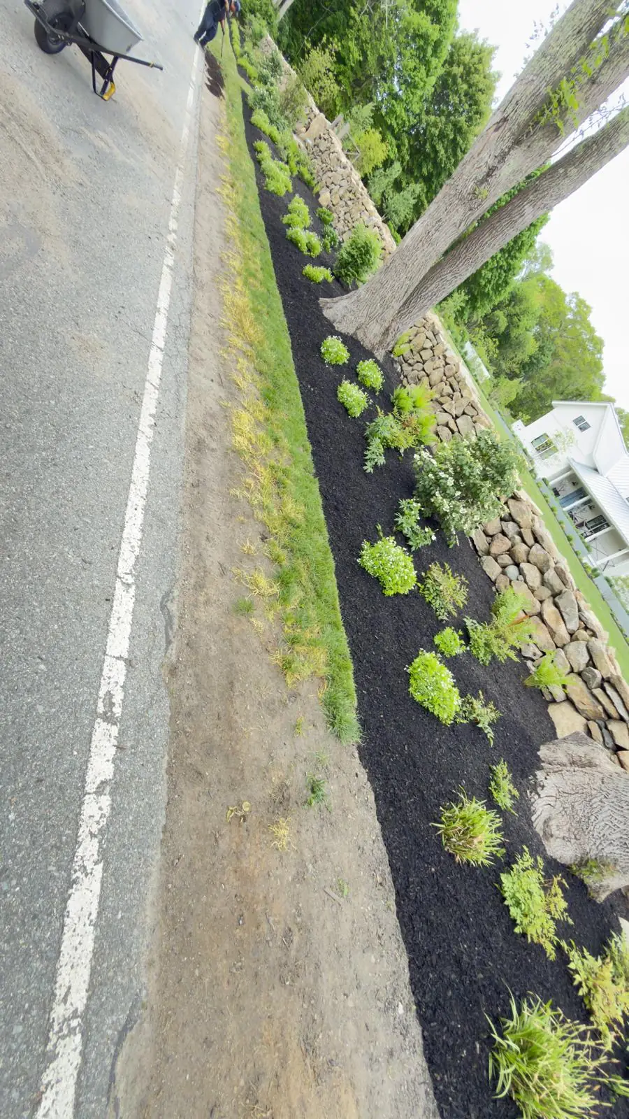 Gomez Landscaping LLC project photo 11