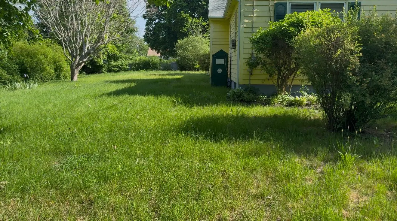 Gomez Landscaping LLC project photo 8