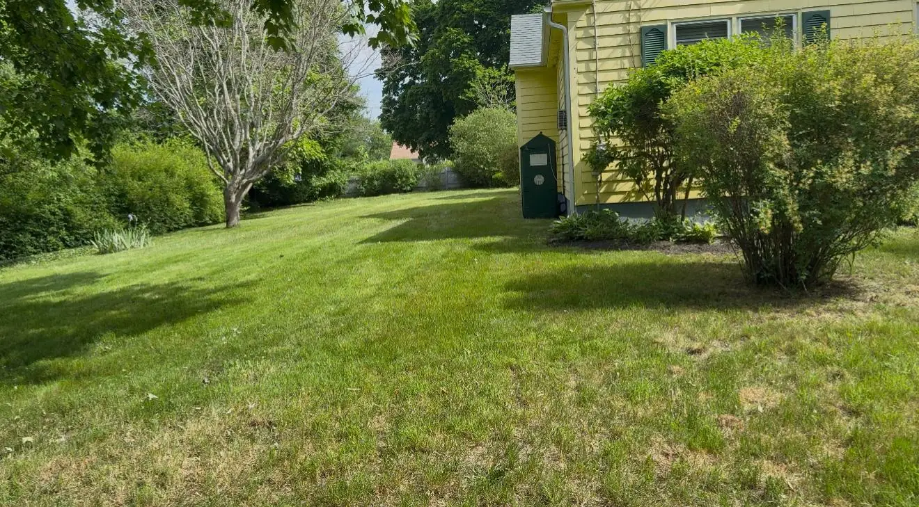 Gomez Landscaping LLC project photo 7