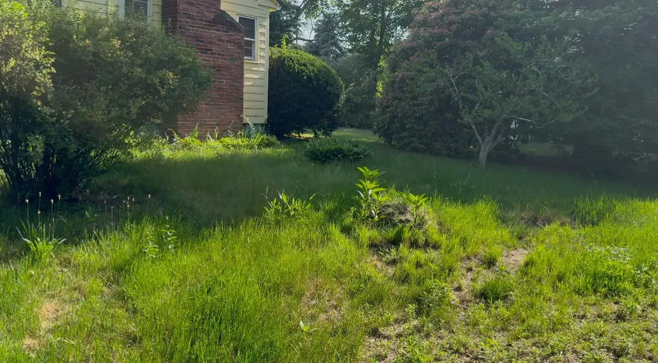 Gomez Landscaping LLC project photo 5