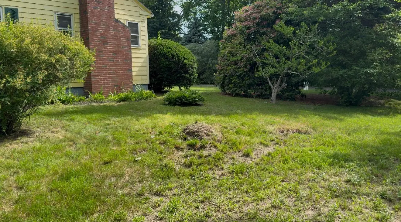 Gomez Landscaping LLC project photo 6