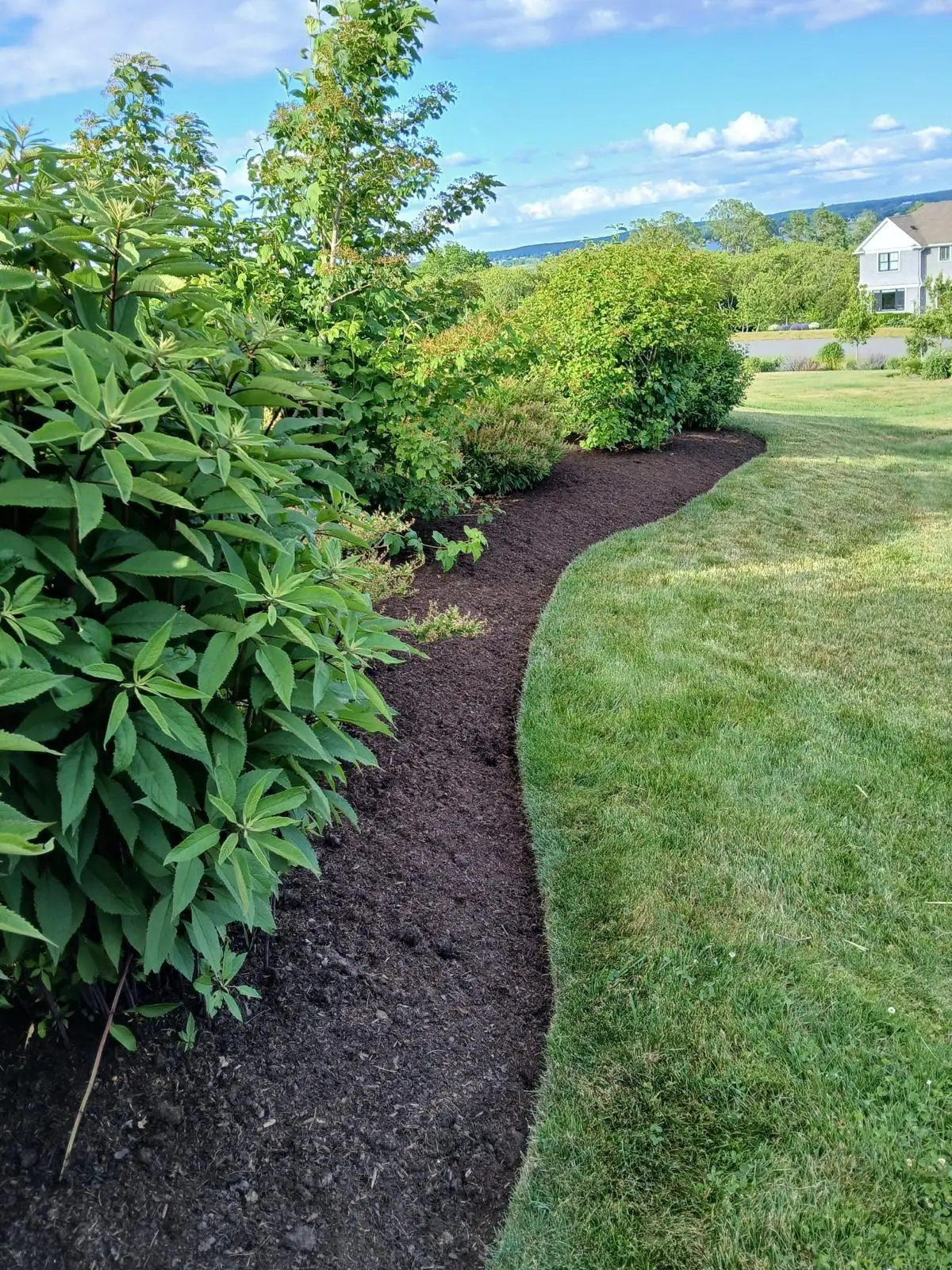 Freshly mulched planting bed with a hand-cut edge along the lawn
