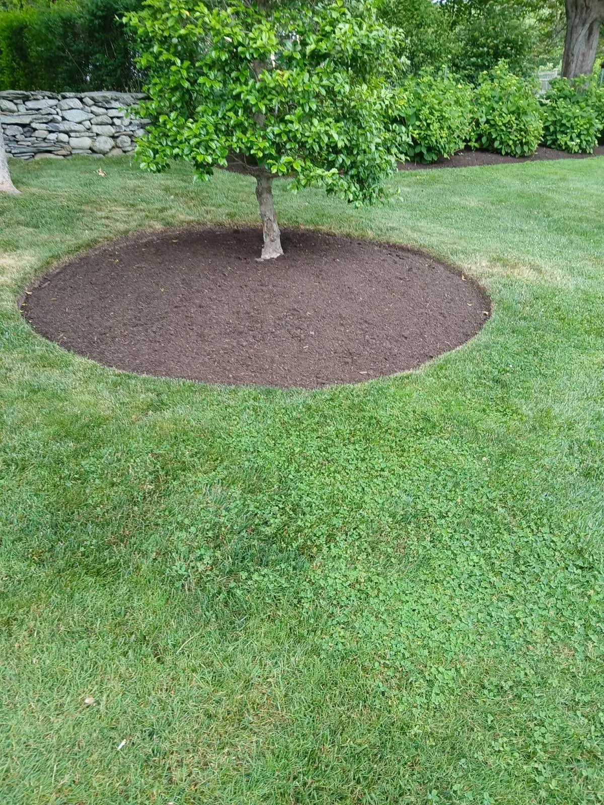 Gomez Landscaping LLC project photo 2