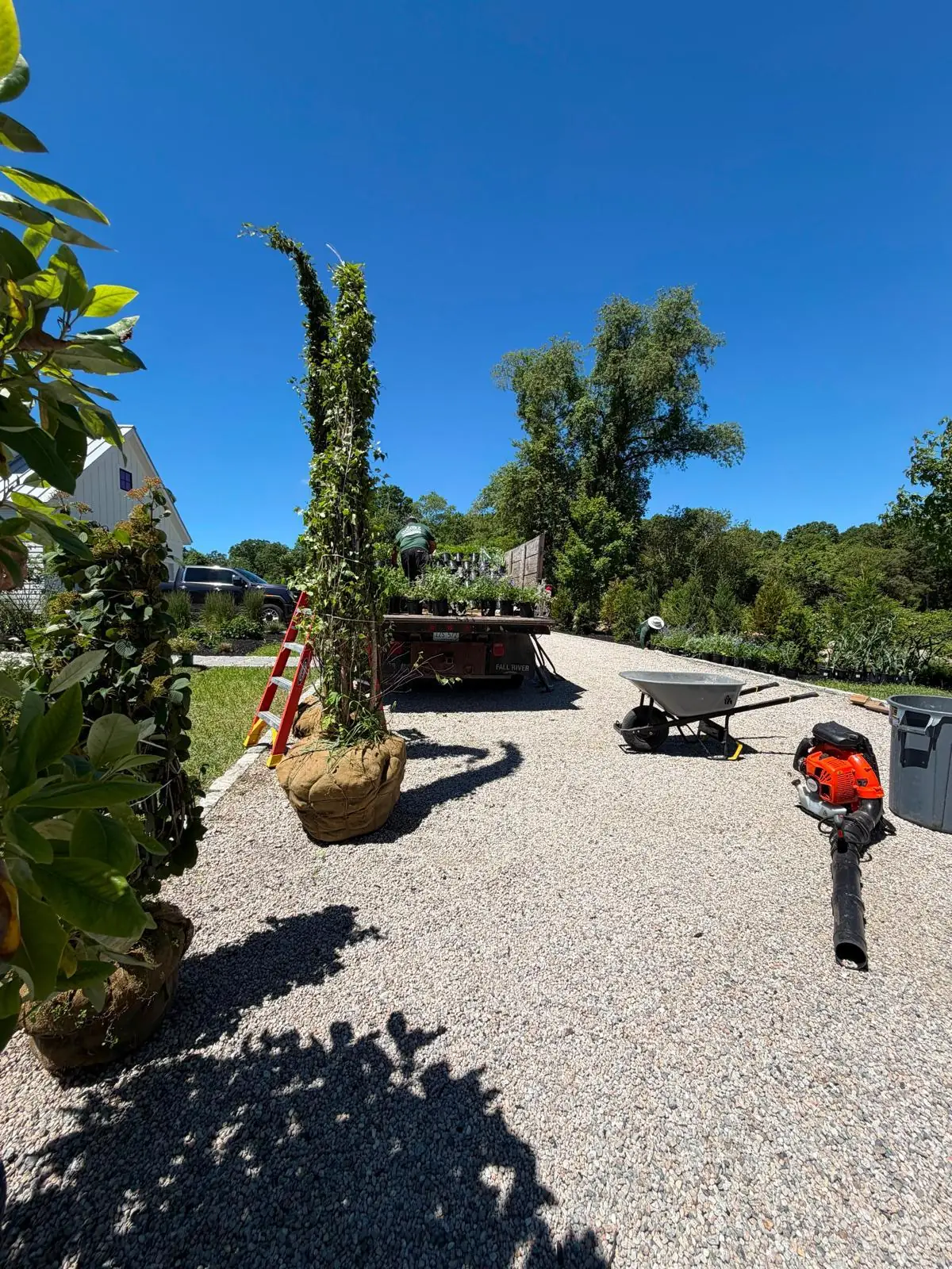 Gomez Landscaping LLC project photo 1
