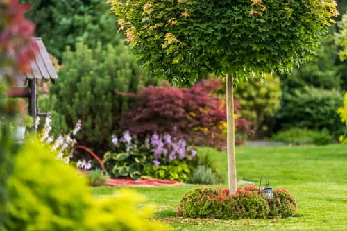 Garden Design