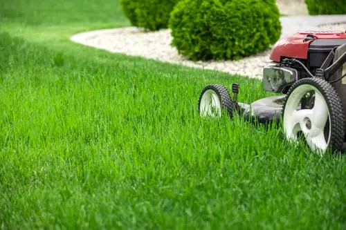 Lawn Mowing