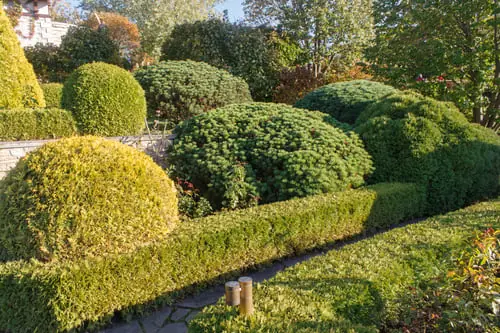 Yard Maintenance
