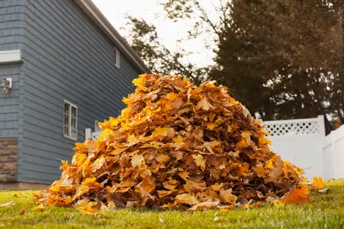 Yard & Property Cleanups